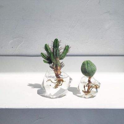 大众彩票用户登录注册截图