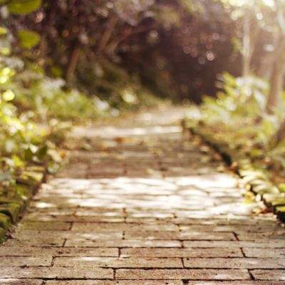 大众彩票用户登录注册截图